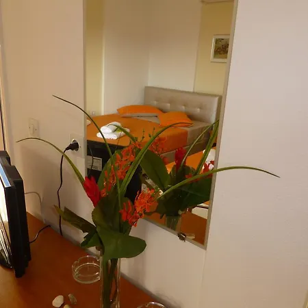 Pavloudis Apartments Psakoudia Cameră foto